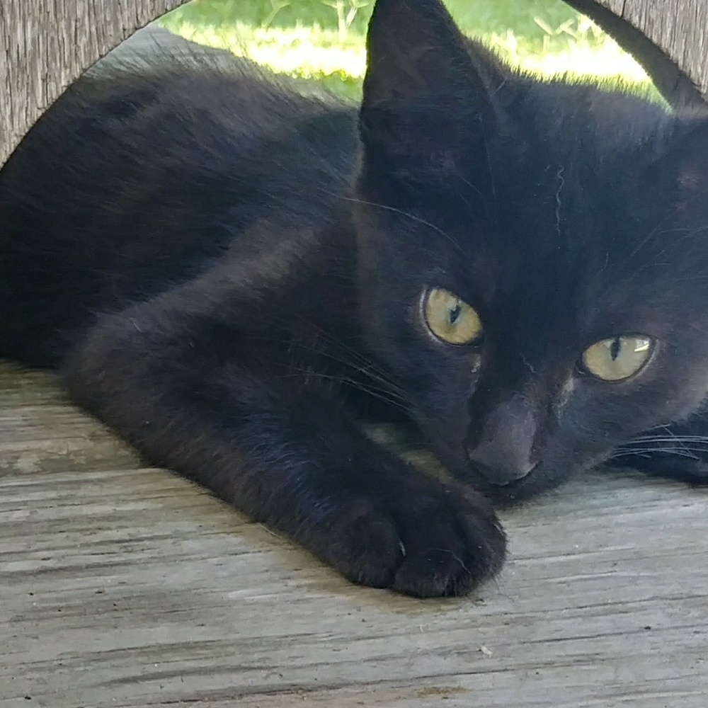 Meet your Posher, Jessica